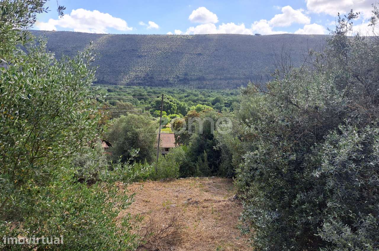 Terreno Urbanizável em Mira de Aire - Grande imagem: 5/30