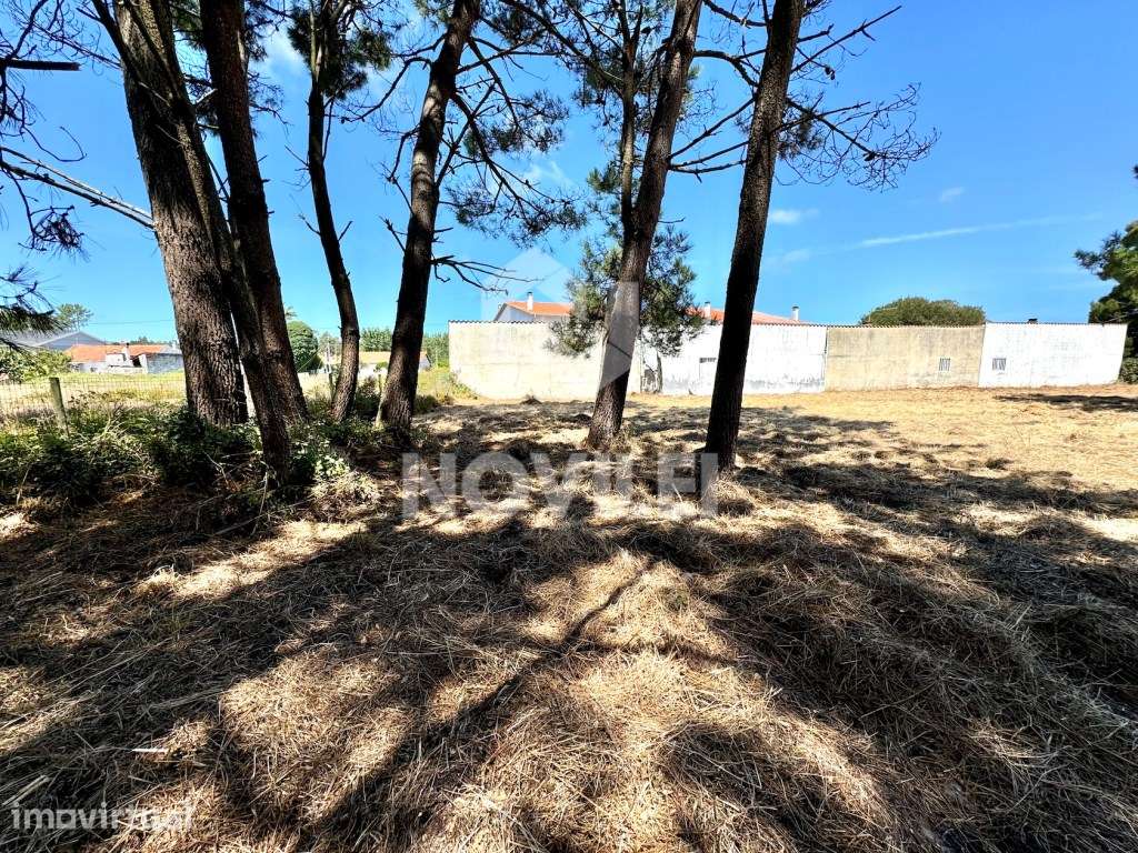 Dois terrenos inseridos em espaço urbano de baixa densidade. - Grande imagem: 4/5