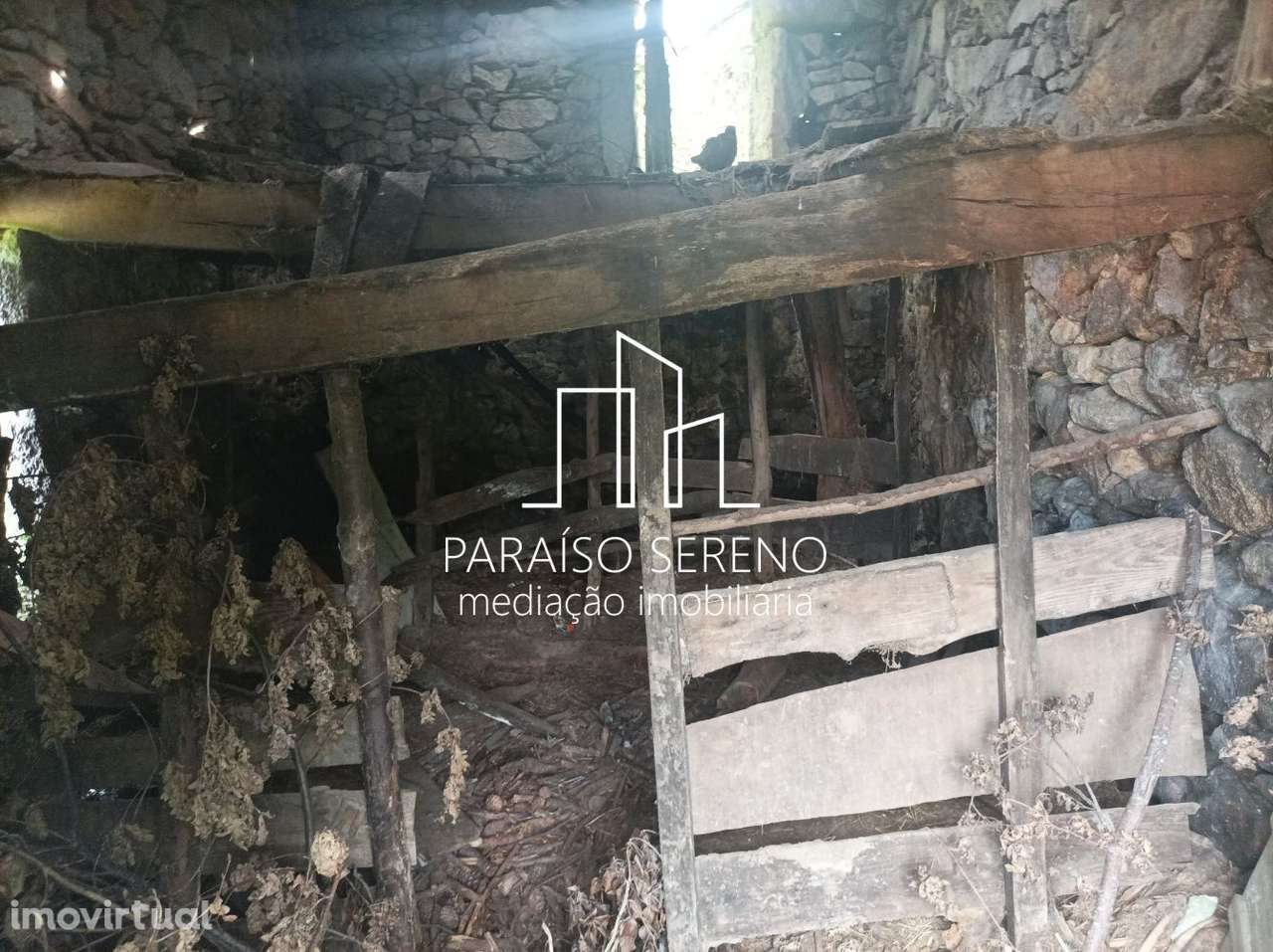 Moradia Junqueira - Grande imagem: 4/11