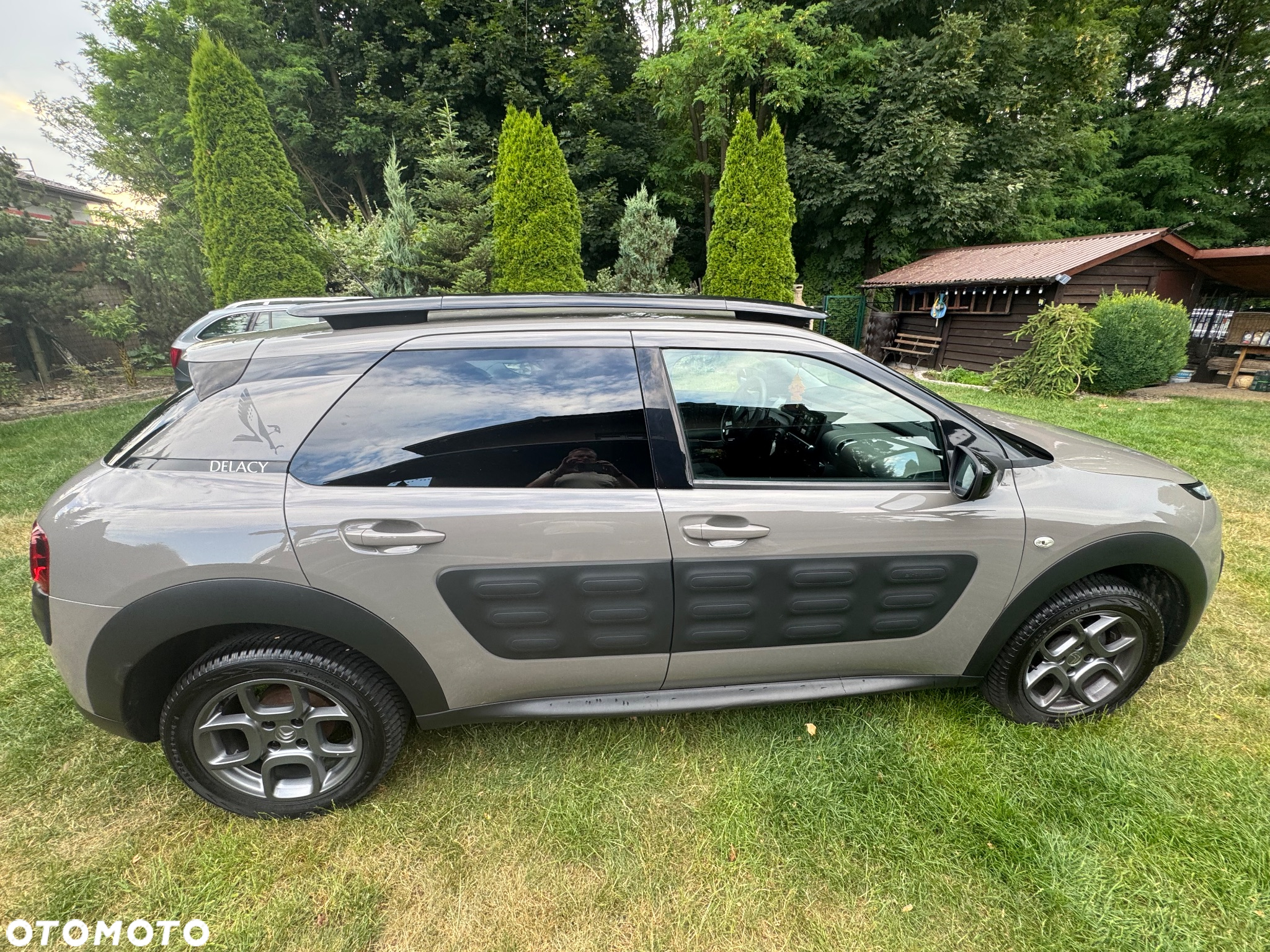 Citroën C4 Cactus 1.6 Blue HDi Shine ETG - 21