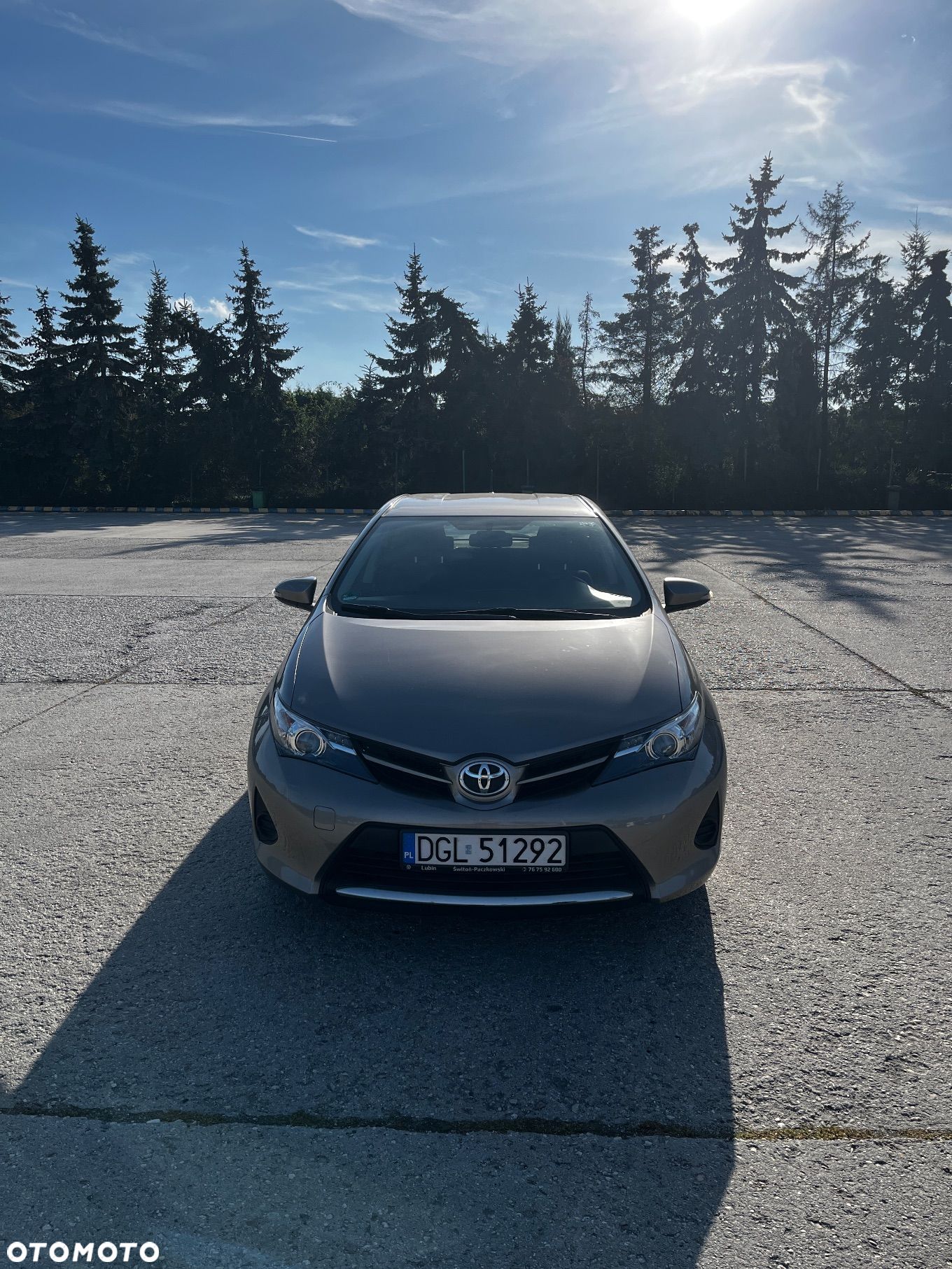 Toyota Auris 1.33 Dual-VVT-i - 1