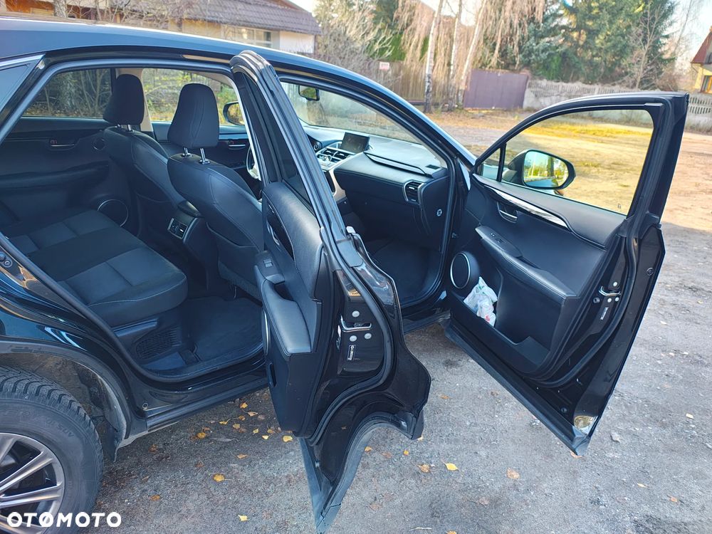 Lexus NX 300h Elegance 2WD - 19