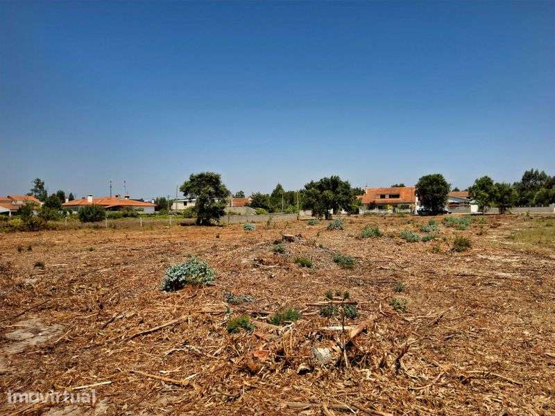 Terreno para venda em Mira - Grande imagem: 2/3