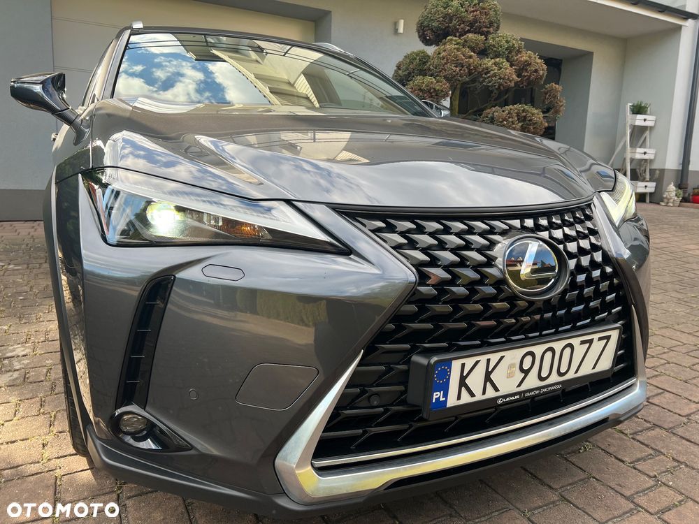 Lexus UX 250h GPF Business 2WD - 2