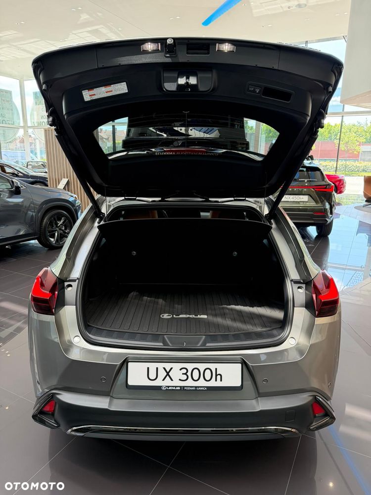 Lexus UX 300h F Sport Design - 8