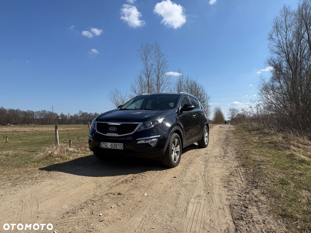 Kia Sportage - 1