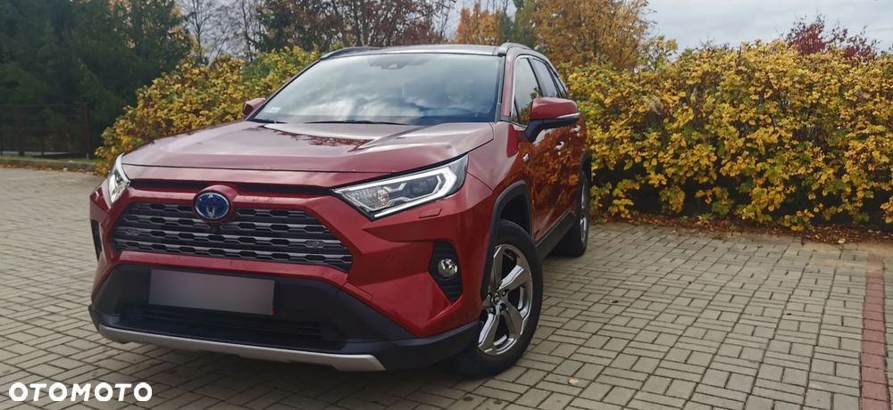 Toyota RAV4 2.5 Hybrid Executive 4x4 - 2
