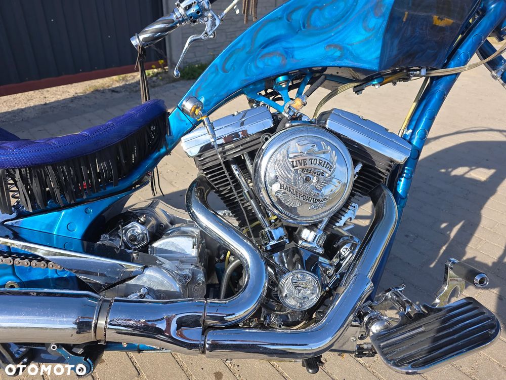 Big Bear Choppers Athena - 6