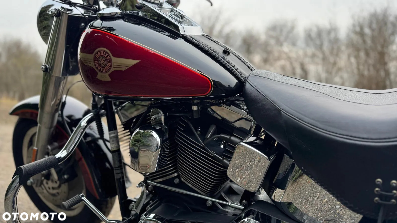 Harley-Davidson Softail Fat Boy - 6