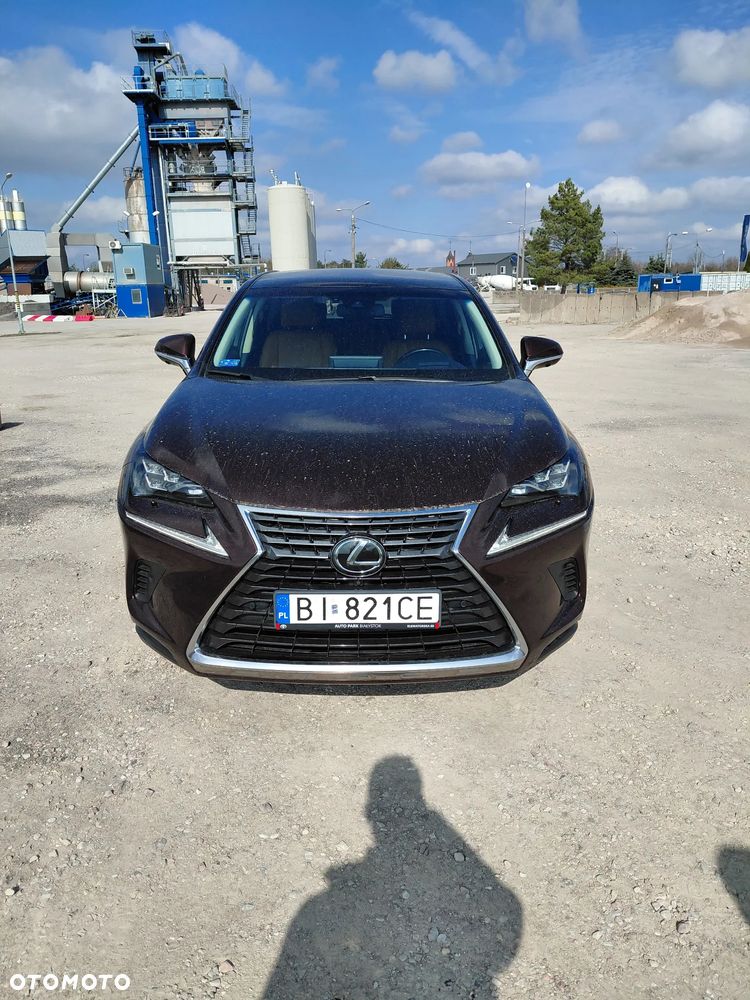 Lexus NX 300 Business Edition AWD - 1