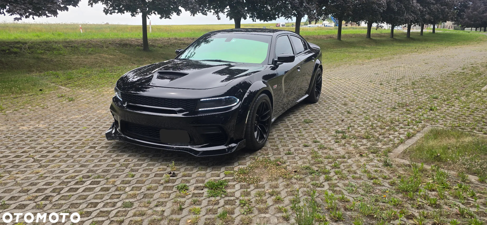 Dodge Charger 6.4 Scat Pack Widebody - 8