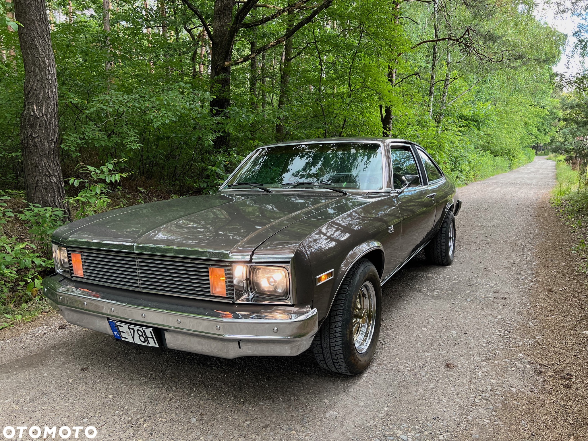 Chevrolet Nova - 5