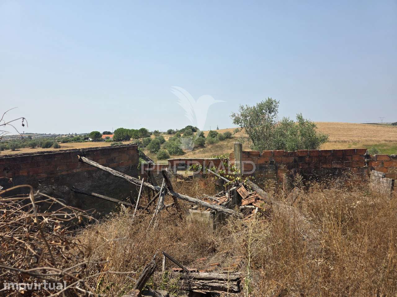 Terreno com Ruína para Reconstrução, Casével – Santarém - Grande imagem: 3/23