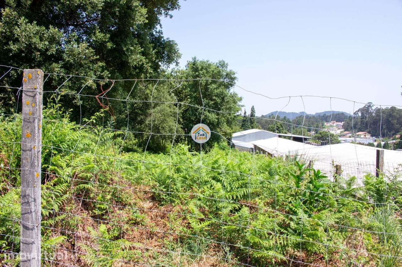 Terreno Agrícola com Potencial em Grijó – 8.509 m2 - Grande imagem: 3/10