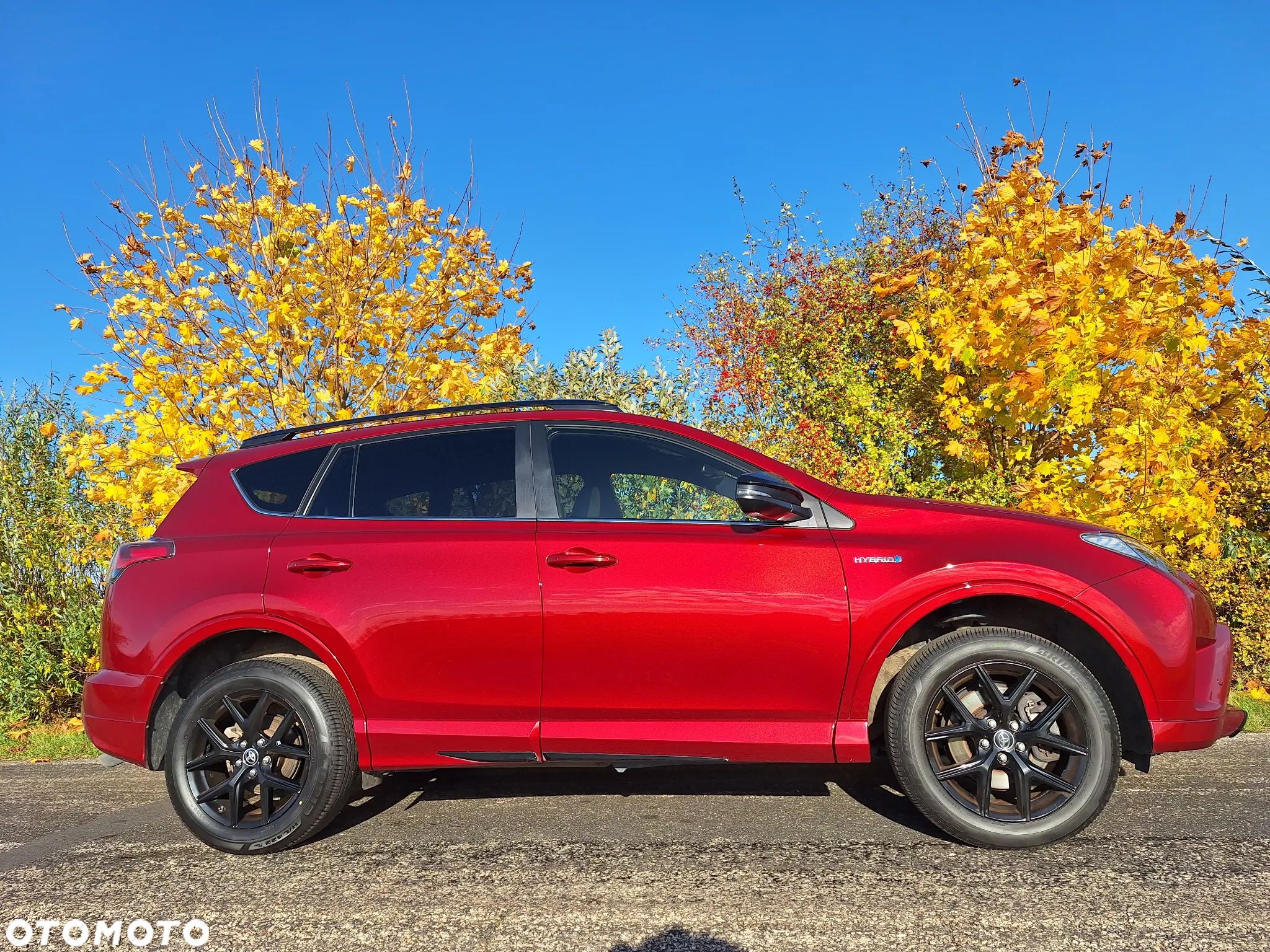 Toyota RAV4 - 1