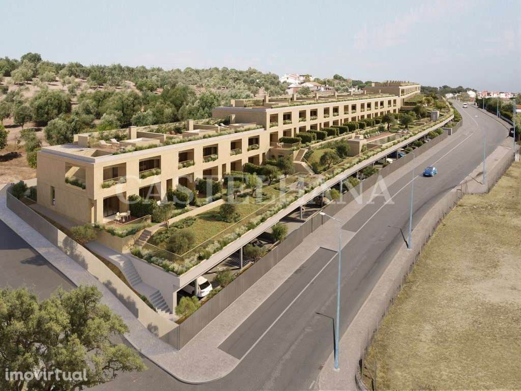 Olive Green - Grande imagem: 1/30