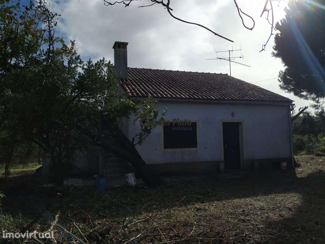 Excelente Quinta com habitação - Grande imagem: 4/29