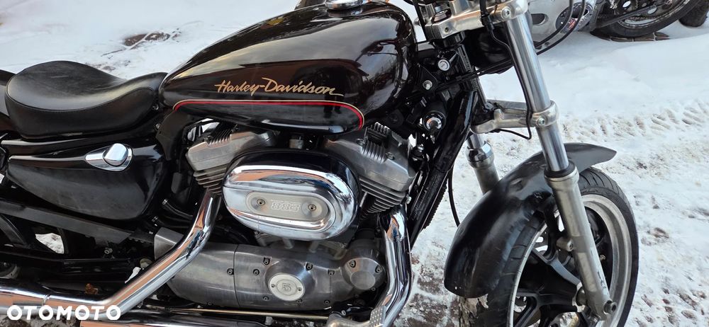 Harley-Davidson Sportster Custom 883C - 5