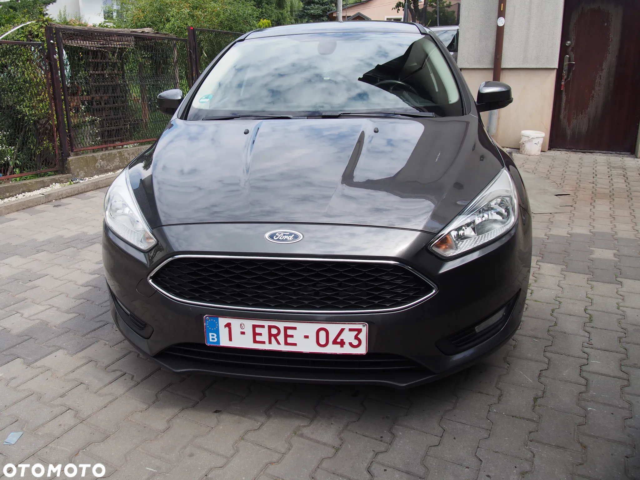 Ford Focus 1.6 TDCi DPF Start-Stopp-System SYNC Edition - 2