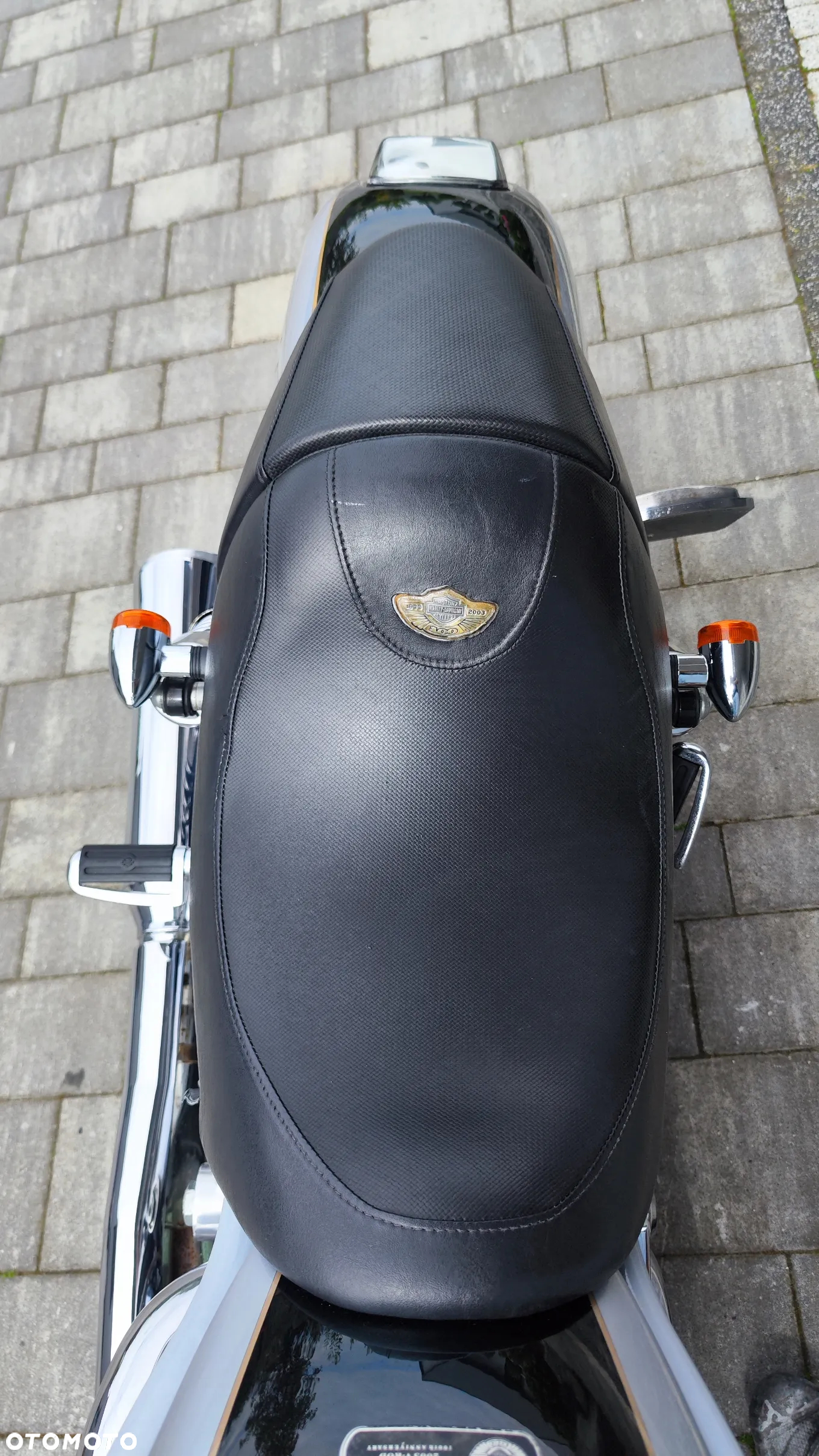 Harley-Davidson Softail V-Rod - 21