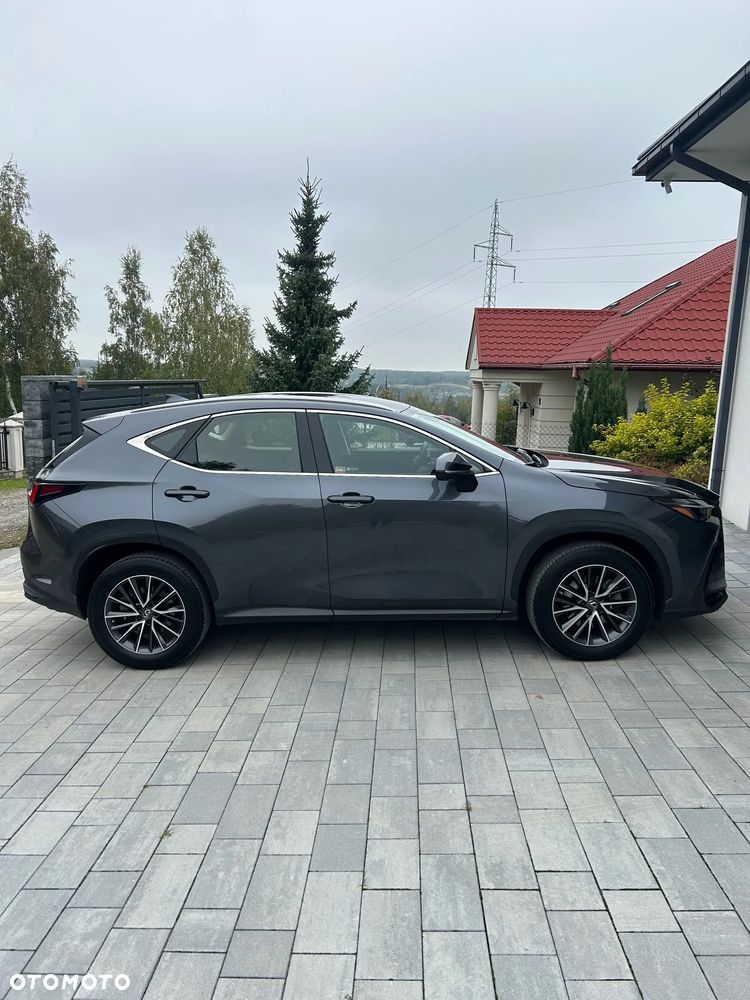 Lexus NX 350h Business AWD - 4
