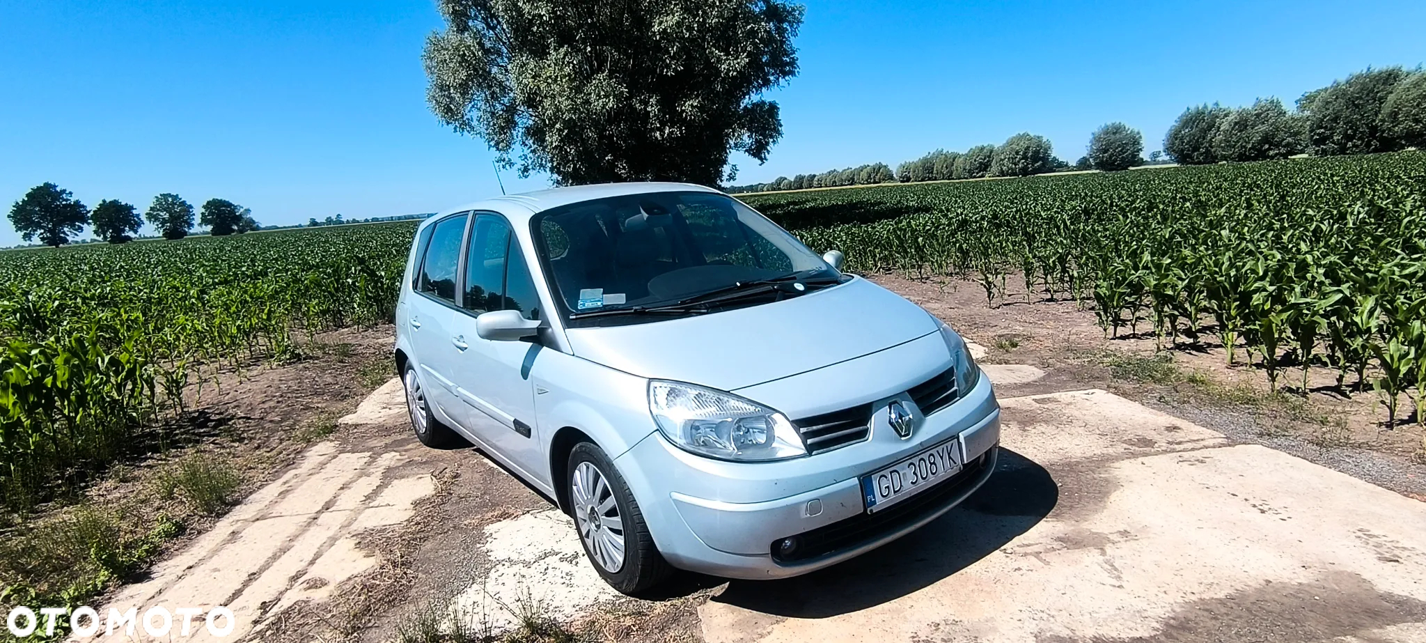 Renault Scenic - 3