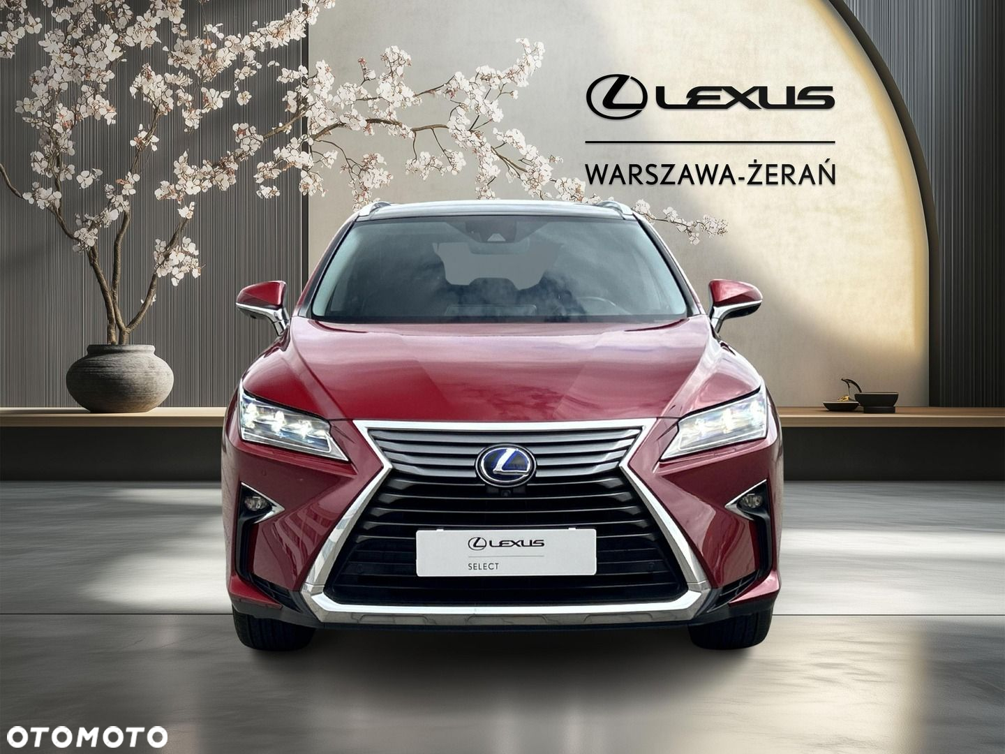 Lexus RX - 10