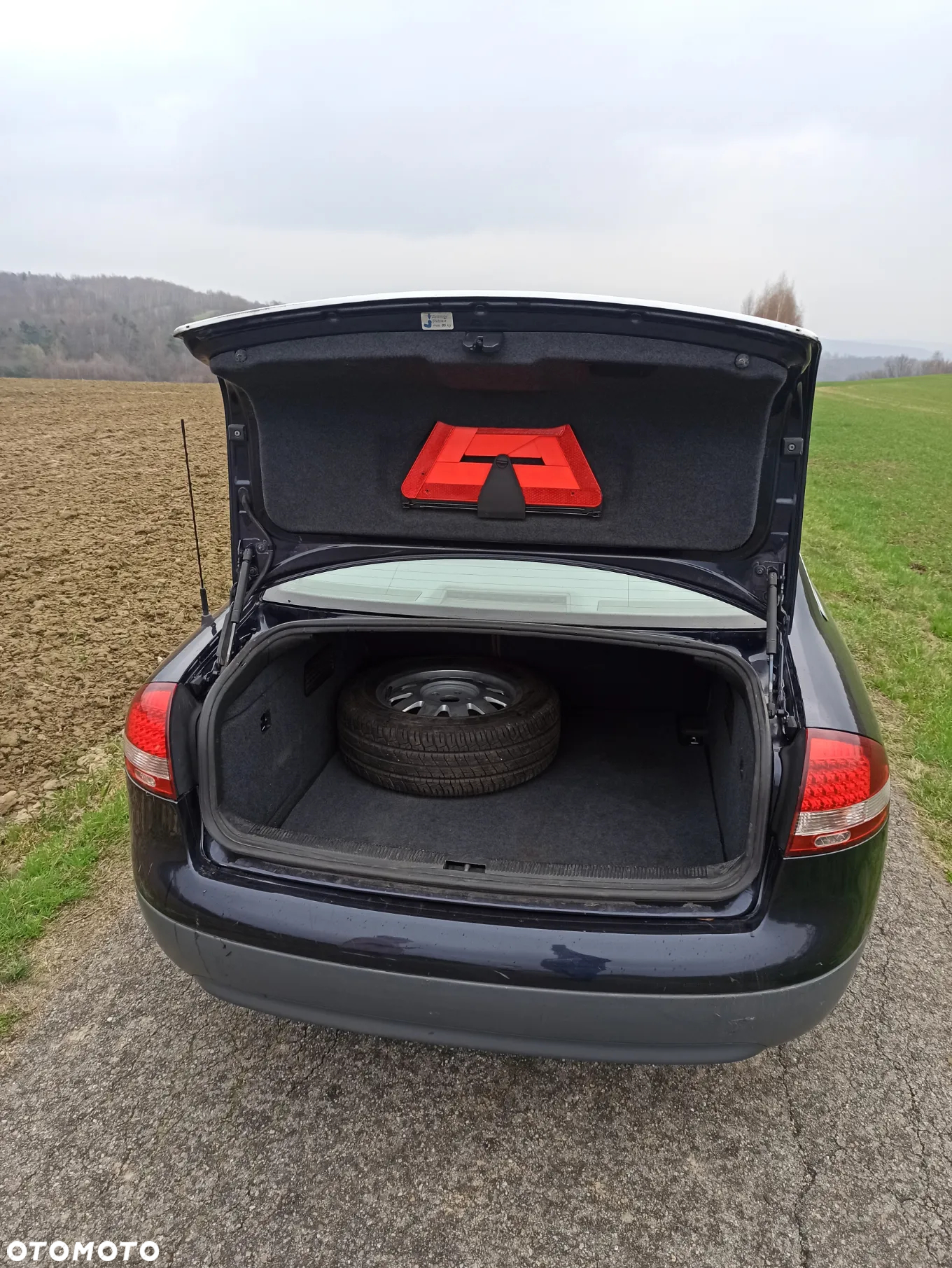 Audi A6 - 17