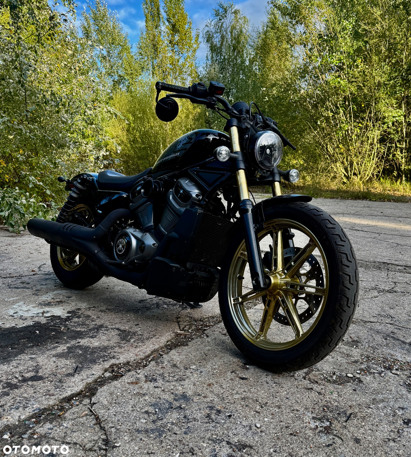 Harley-Davidson Sportster Nightster 975 - 3