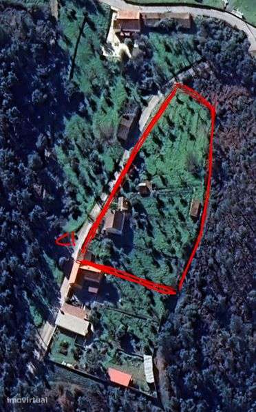 T6 Sertã com terreno - Grande imagem: 3/3