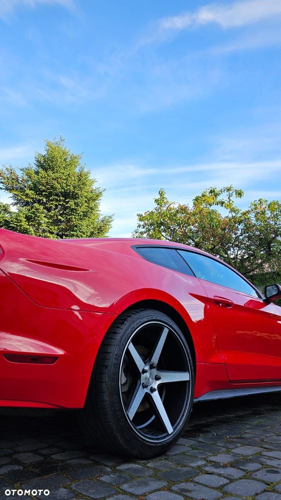 Ford Mustang 3.7 V6 - 5