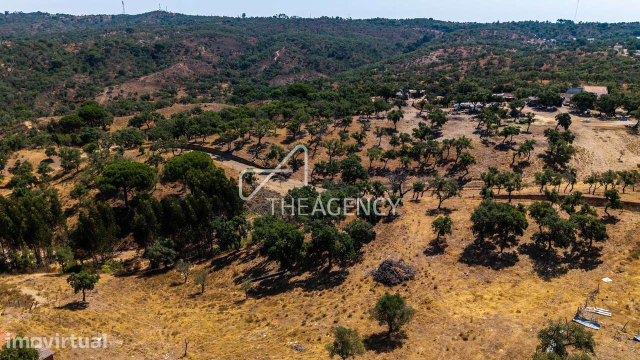 Monte alentejano perto de Melides, Comporta - ampliável até 500m² - Grande imagem: 5/19