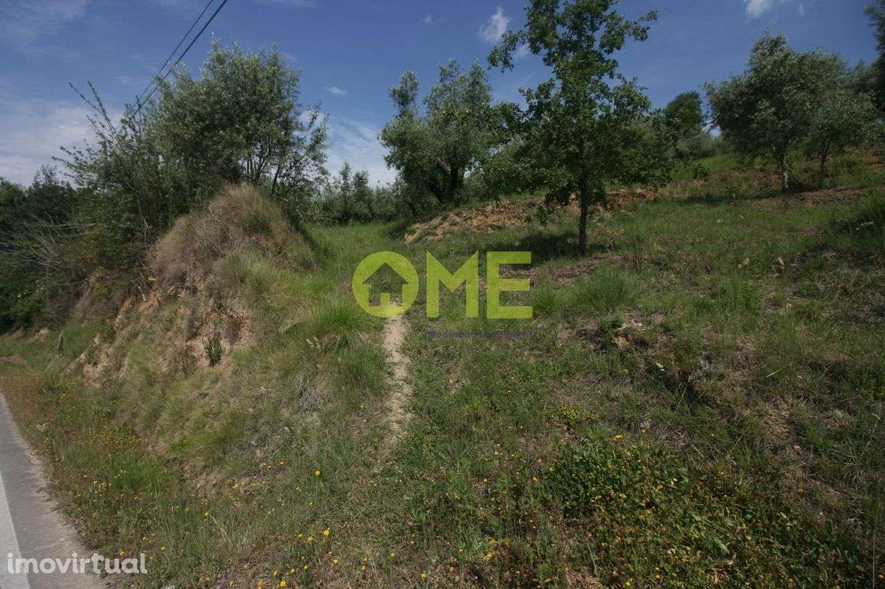 Terreno com 2880m2 - Grande imagem: 5/6