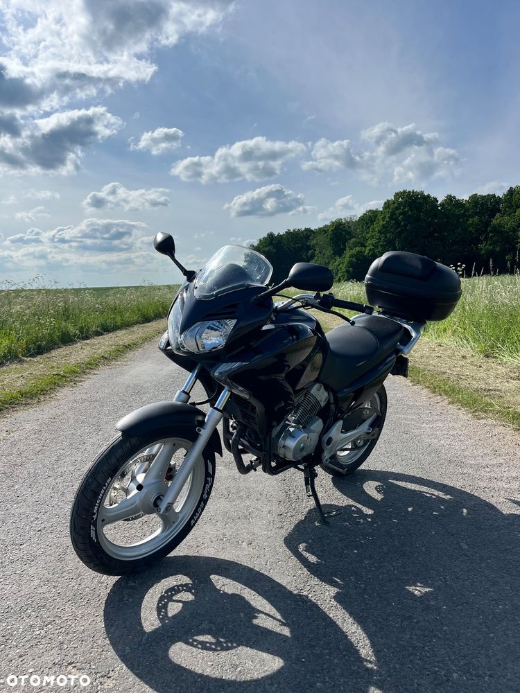 Honda Varadero - 5