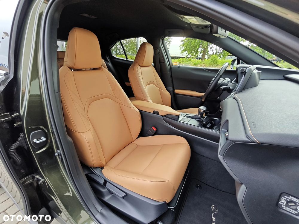 Lexus UX 250h GPF F Sport Design+ 2WD - 13