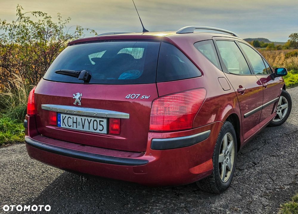 Peugeot 407 - 6