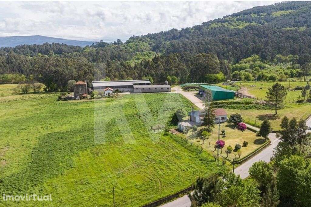 Quinta Torre de Penafiel, com 17 hectares e parecer favorável para emp - Grande imagem: 2/36