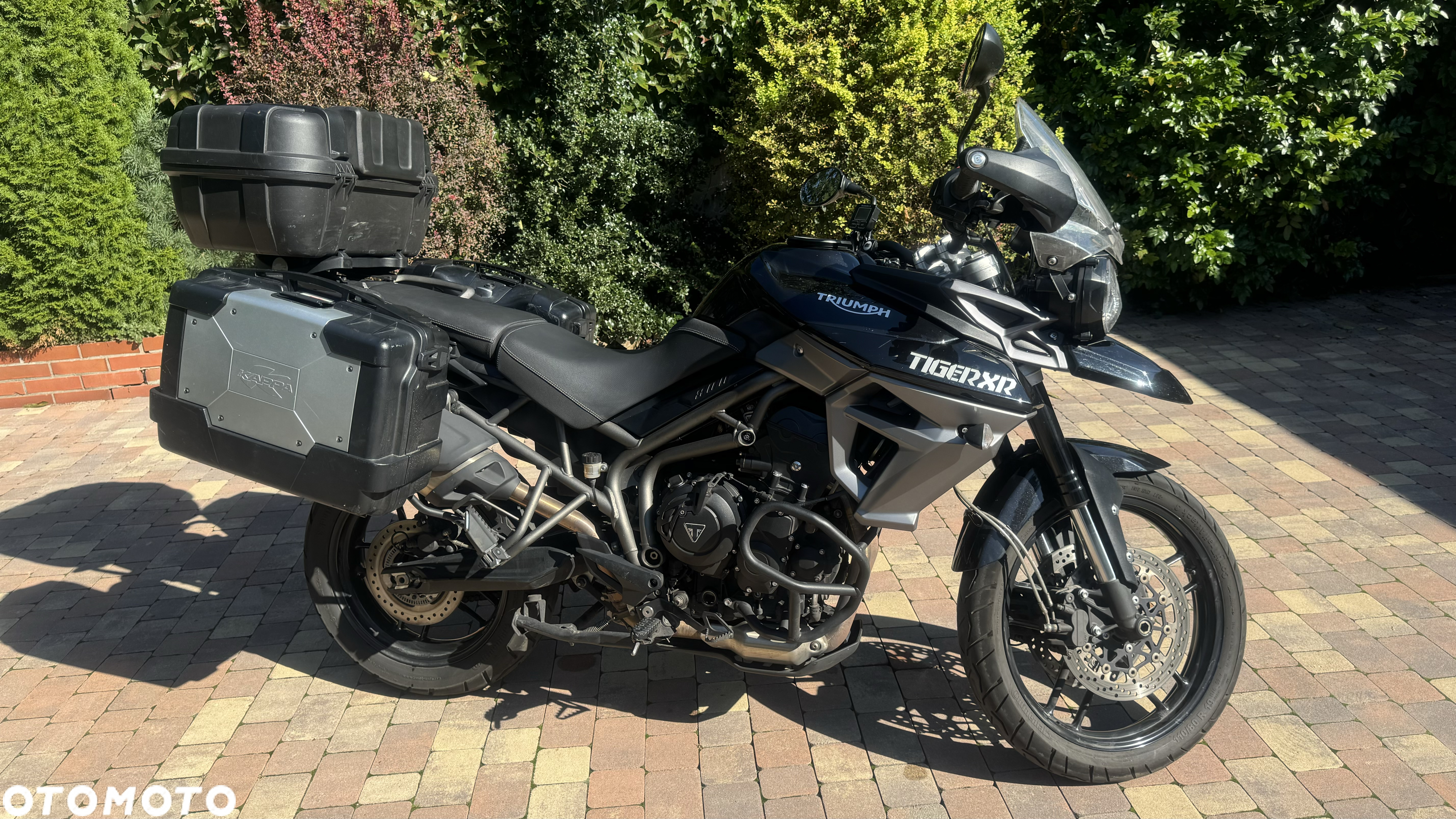 Triumph Tiger