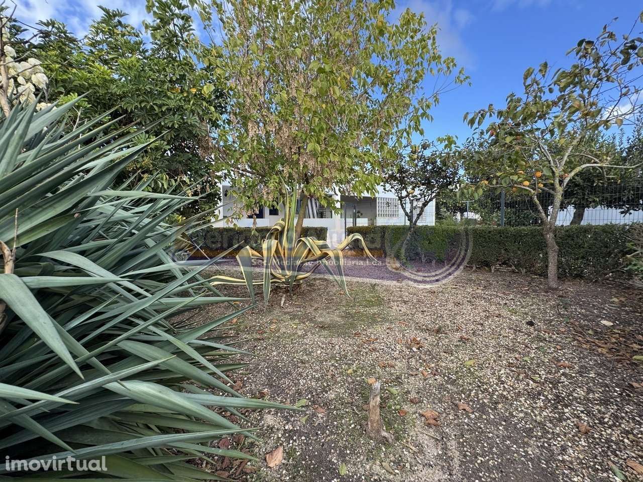 Moradia T3+2 na Barrosa/Benavente (BARR008) - Grande imagem: 2/25