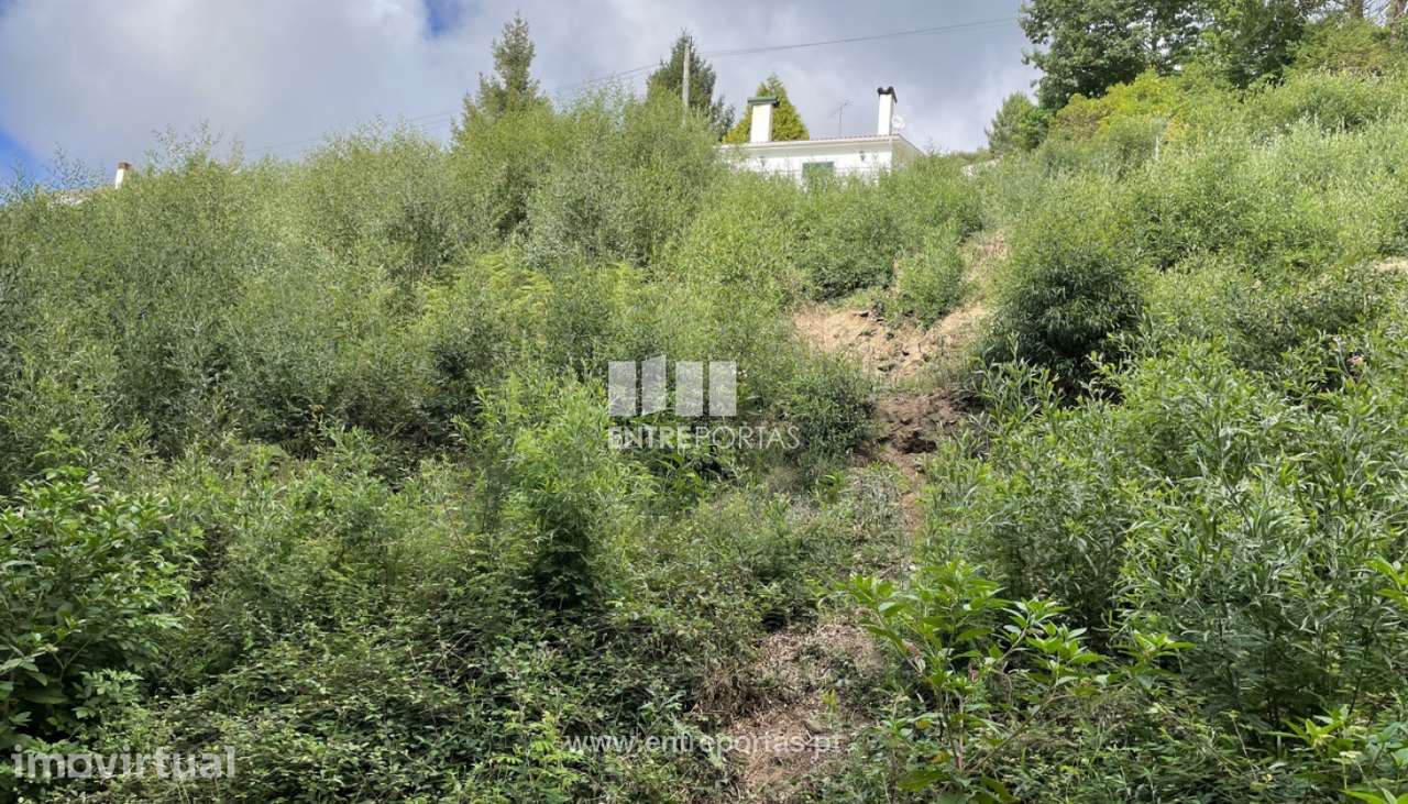 Lote de terreno para venda, Cristelo, Caminha - Grande imagem: 5/15
