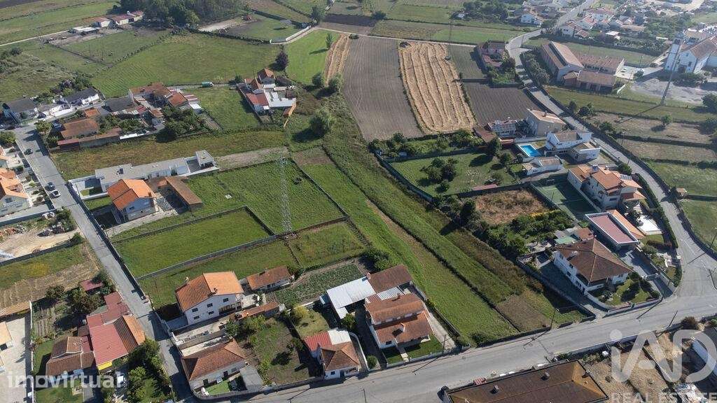 Terreno Agrícola em Beduído e Veiros - Grande imagem: 5/8