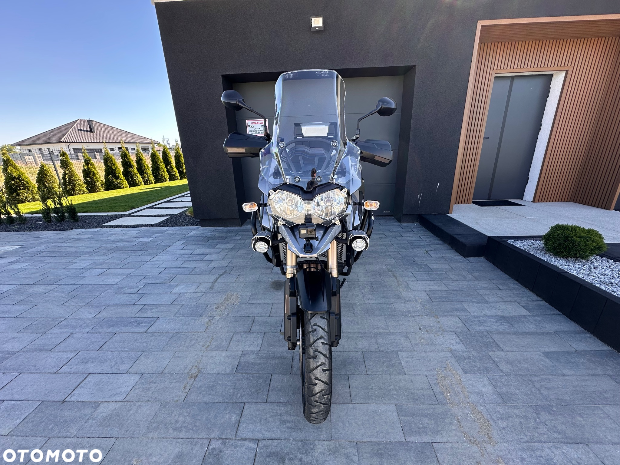 Triumph Tiger - 8