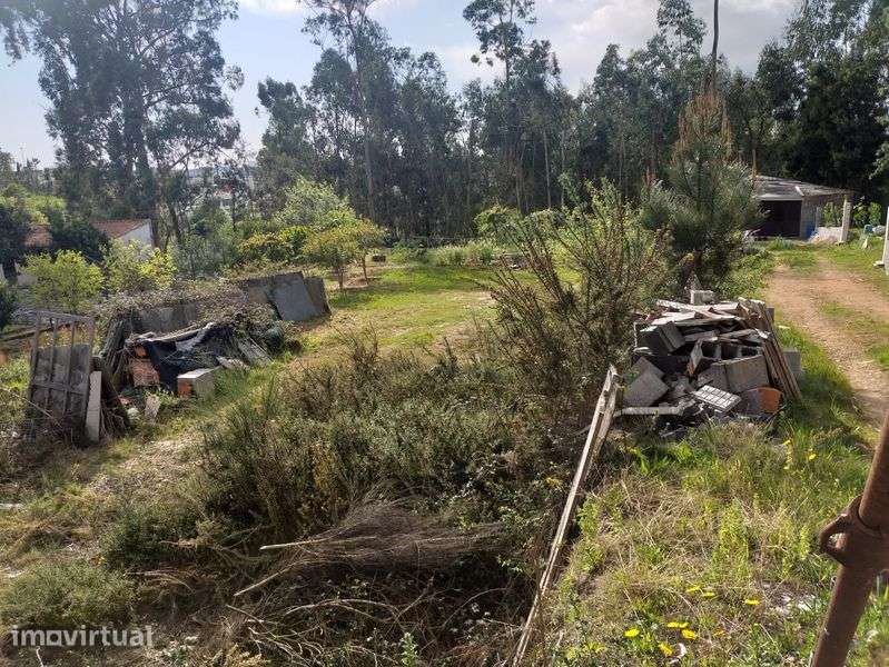 Terreno c/1200m2 Nogueira do cravo - Grande imagem: 3/4