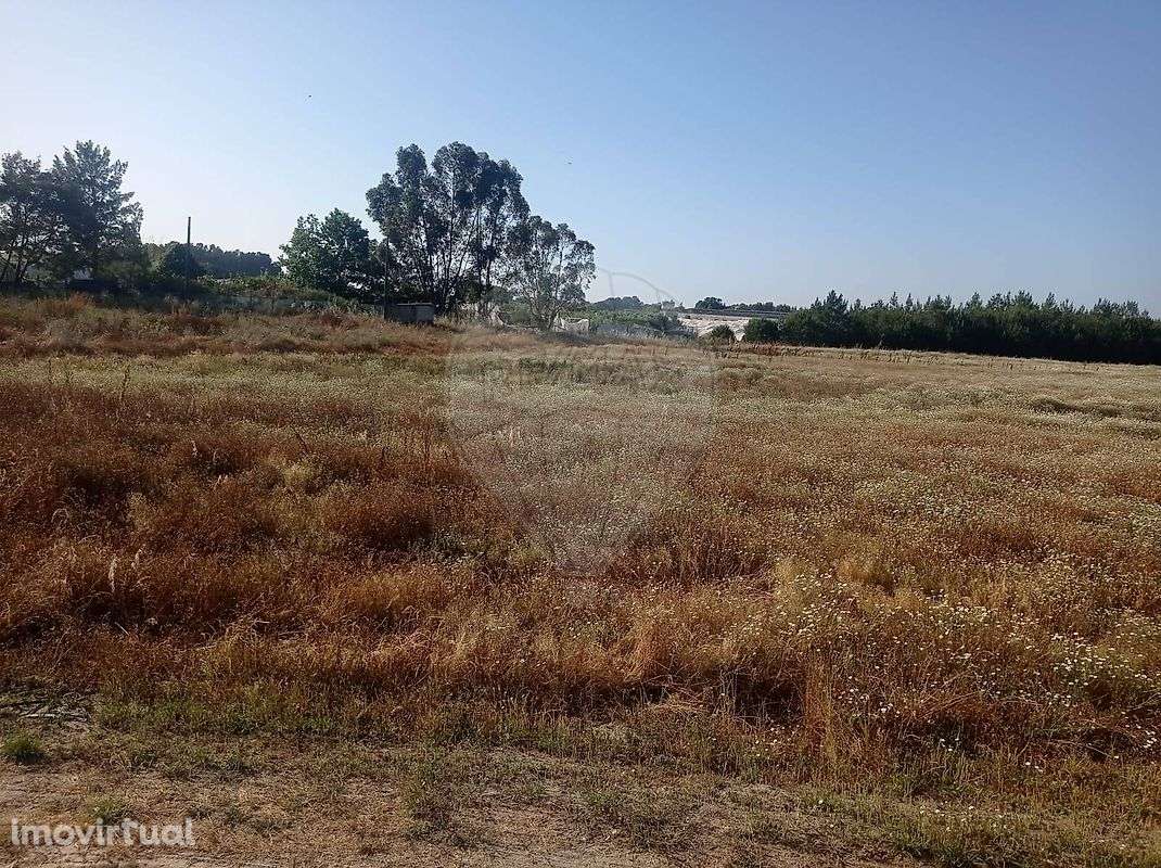 Terreno  para venda - Grande imagem: 4/5