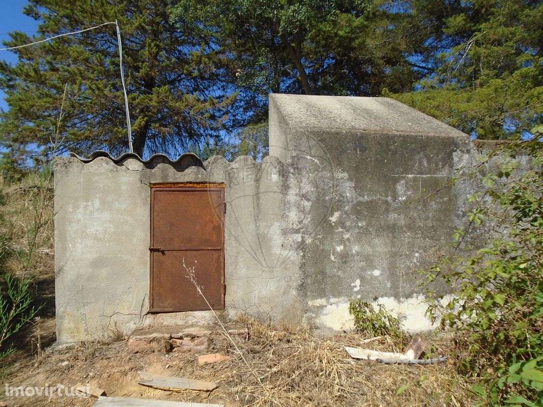 Quinta T5 para venda - Grande imagem: 4/17