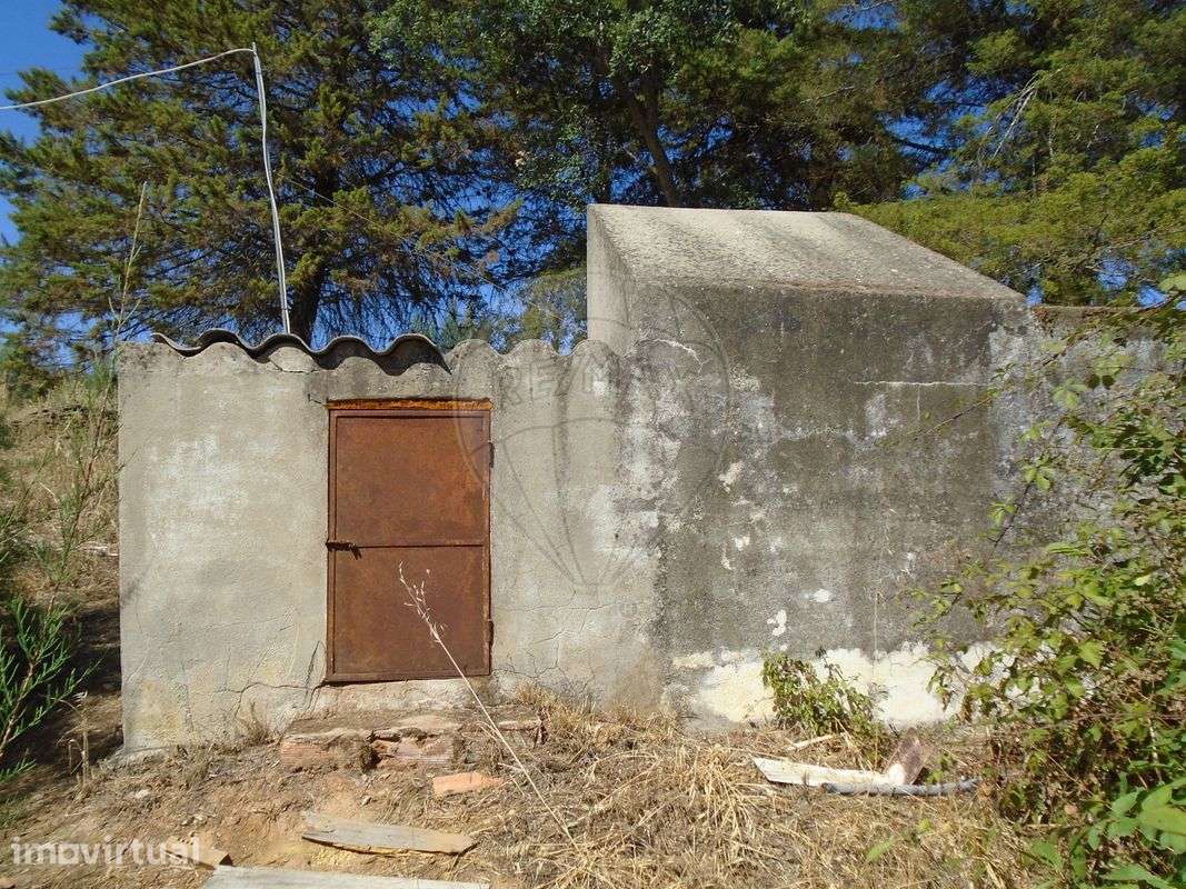 Quinta T5 para venda - Grande imagem: 4/17