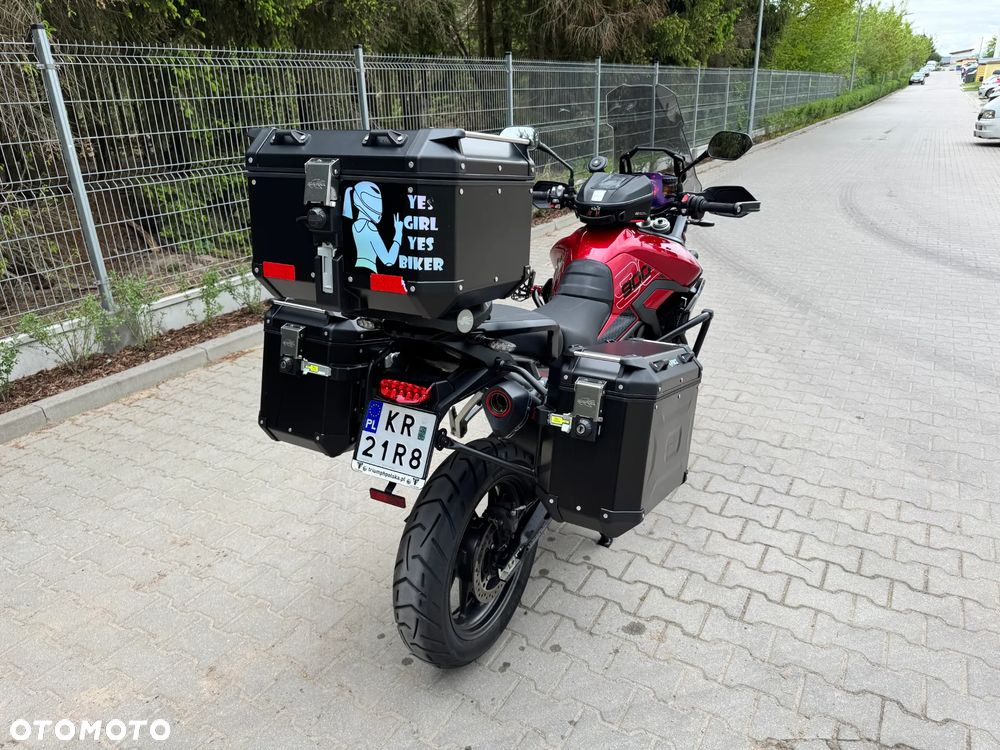 Triumph Tiger - 18