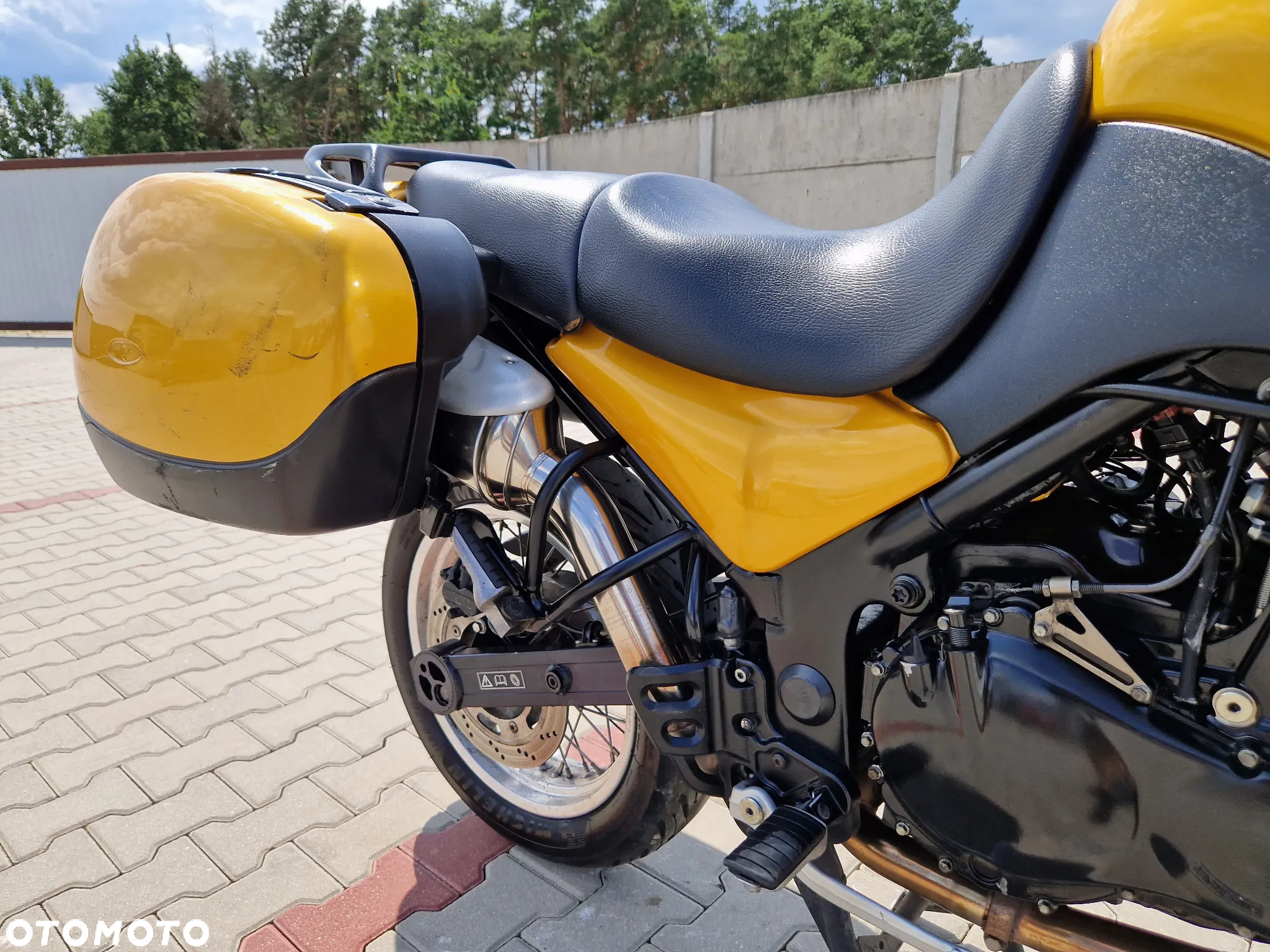 Triumph Tiger - 33