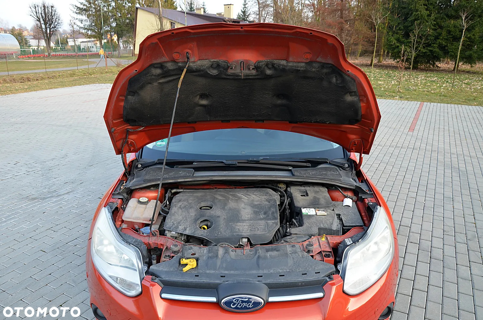 Ford Focus - 31