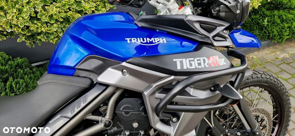 Triumph Tiger - 24